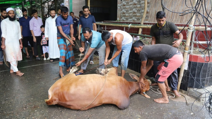 রাজধানীতে ঈদের দ্বিতীয় দিনেও চলছে পশু কোরবানি