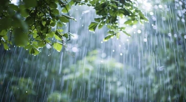 বাড়তে পারে বৃষ্টি, রয়েছে ভারী বর্ষণের আভাস