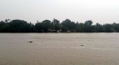 অতিবৃষ্টি ও পাহাড়ি ঢলে ৭ জেলায় নিহত ৫৯, ত্রাণ বরাদ্দ ৫ কোটি ১৫ লাখ টাকা